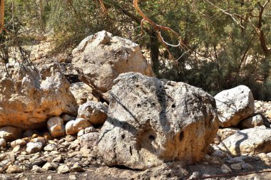 1*** Ein Gedi. İsrail. kutsal topraklar. Bu İncille şehir, ve şimdi tel Goren ve Nahal David geçit tepeüzerinde bir doğa rezervi ve milli Park. Judean çölü ve ölü denizde dağların ortasında Muhteşem bir yer.
