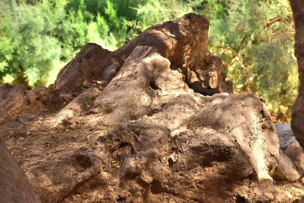 1*** Ein Gedi. Israel. holy land.It is a biblical city, and now a nature reserve and national Park on the hill of tel Goren and Nahal David gorge. Fabulous place in the middle of the Judean desert and mountains in the dead sea.