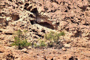 1*** Ein Gedi. İsrail. kutsal topraklar. Bu İncille şehir, ve şimdi tel Goren ve Nahal David geçit tepeüzerinde bir doğa rezervi ve milli Park. Judean çölü ve ölü denizde dağların ortasında Muhteşem bir yer. 