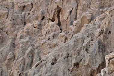 1** Ölü denizin batı kıyısı. İsrail. Kutsal topraklar.2** Ölü deniz dünyanın en tuzlu gölüdür. İsrail ve Ürdün arasında yer almaktadır. Tuz, çamur ve temiz şifa hava eşsiz bir kompozisyon ile Güzel uluslararası tatil.