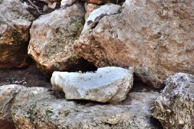 1* Yarhiv.Yarhiv. Moshav, İsrail'in orta bölgesinde. 1949 yılında kurulmuştur. Bölgesel Drom Hasharon Konseyi. Mimari. Bahar..