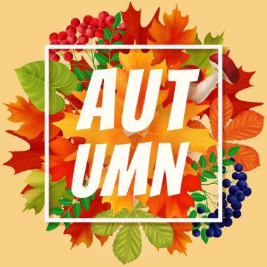 Sonbahar arkaplanı, kırmızı ve sarı yapraklar çerçevesi. Vektör illüstrasyonu EPS10.