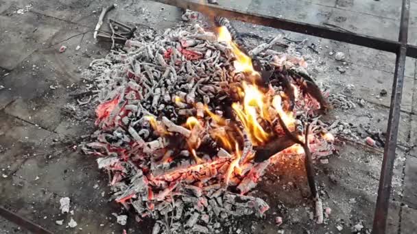 Горячие угли, которые потребляются, с небольшим пламенем — стоковое видео