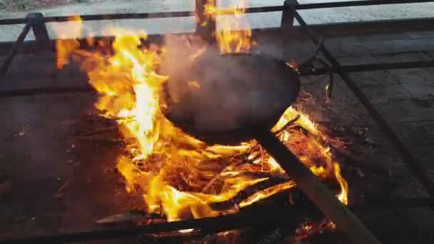 Caldarroste cotte sul fuoco — Video Stock