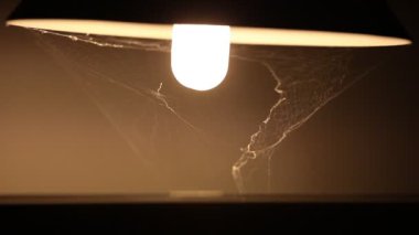 Rüzgar tarafından hareket ettirilen bir lambanın altında örümcek ağı