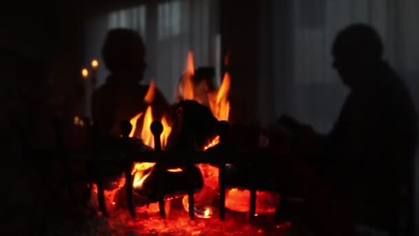 Træ brænder i en pejs med en refleksion i baggrunden – Stock-video