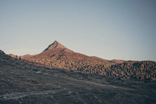 Vintage effekt av skogen runt toppen av en vulkan-formade berg — Stockfoto