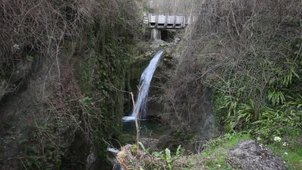 Drewniany most nad wodospadem w skalistym wąwozie w środku lasu — Wideo stockowe