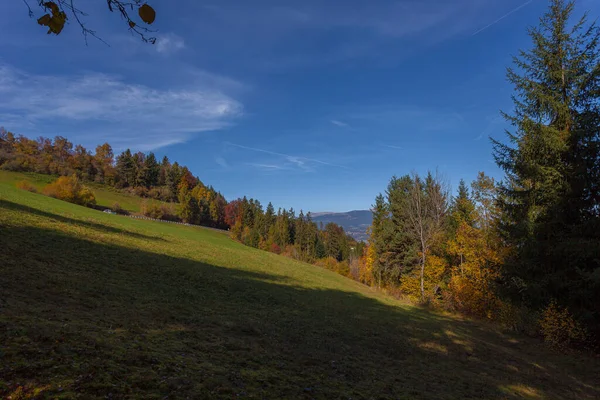 Луг и лес с осенними цветами, Валь ди Шины, Италия — стоковое фото