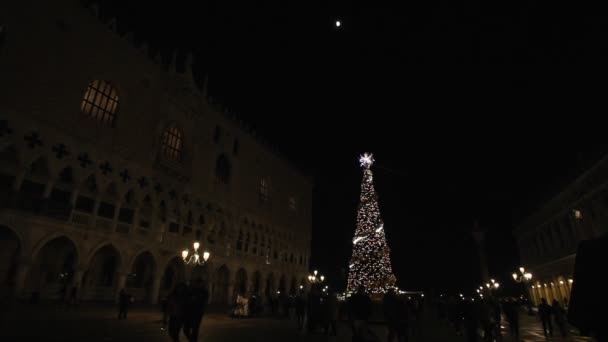 夕方にはサン・マルコ広場のクリスマスツリーの近くの人々 — ストック動画