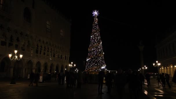 夕方にはサン・マルコ広場のクリスマスツリーの近くの群衆 — ストック動画