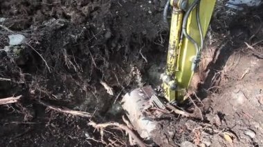 Ormanda çukur kazan mekanik küreği kapat.