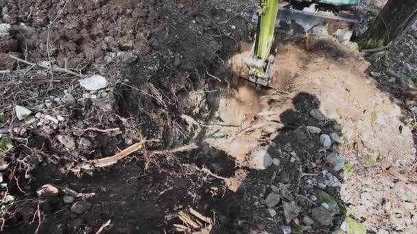 Pá mecânica cavando um buraco em uma floresta — Vídeo de Stock