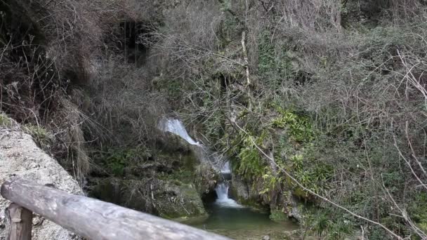 Vue d'un ruisseau avec de petites cascades dans les bois — Video