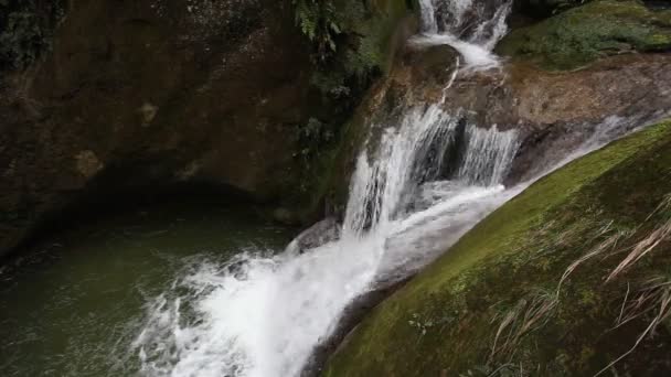 Kayalık bir geçitte yosun kaplı kayalarla şelalelerin görüntü efekti — Stok video