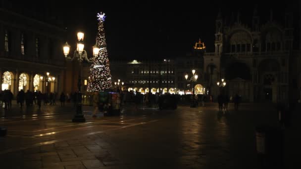 夕方にはサン・マルコ広場のクリスマスツリーの近くの観光客 — ストック動画