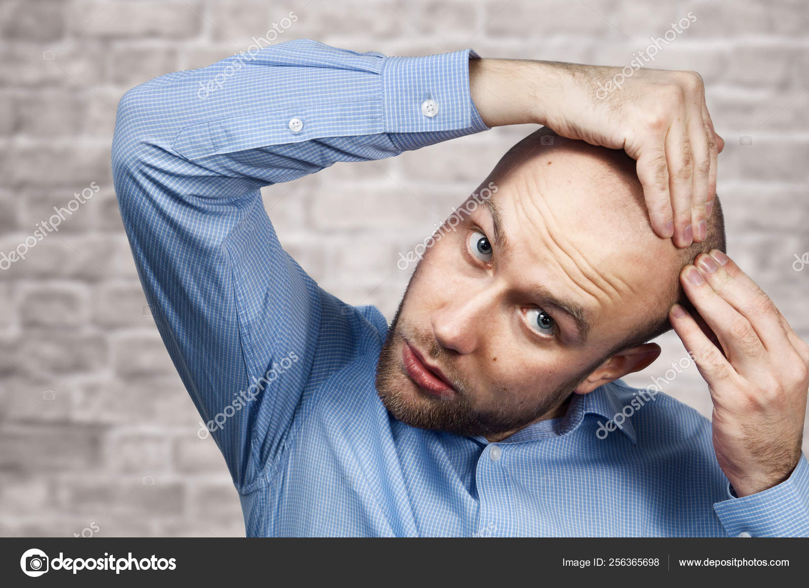 Portrait Of A Bald Man Looking At His Balding Head With A