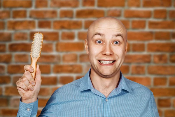 Portrait of a bald guy in a blue shirt holding a comb in his hands on brick wall background. The concept of hair loss and hair transplantation