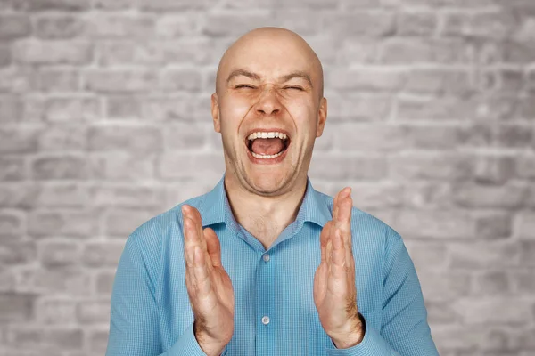 Portrait happy bald guy office worker glad to win. White bald man in blue shirt, claps hands on white brick wall background and laughing