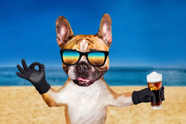 funny dog ginger french bulldog in sunglasses hold alcoholic beer in a glass in a bar and show a sign approx. Animal on beach, sea and sky background