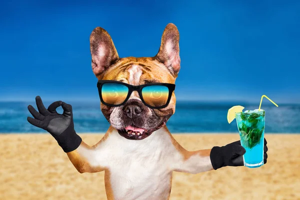 サングラスをかけた面白い犬のジンジャーフレンチブルドッグは、バーのグラスにアルコールカクテルを保持し、ビーチ、海、空の背景に約動物の看板を示しています — ストック写真