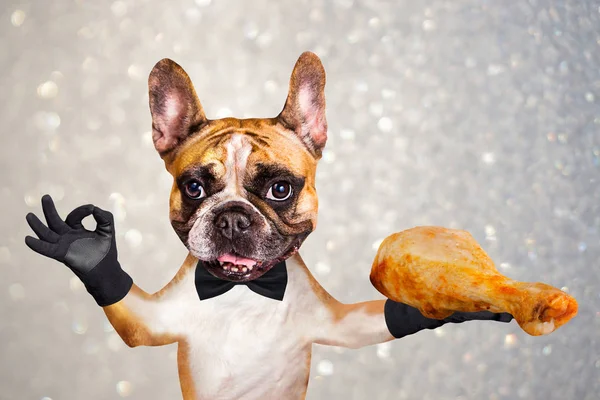 funny dog ginger french bulldog waiter in a black bow tie hold a grilled chicken leg and show a sign approx. Animal on gray background with sparkles