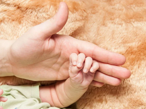 Pernas bebê recém-nascido nas mãos de seus pais — Fotografia de Stock