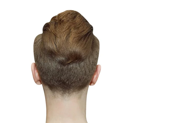 Junger Ingwermann Mit Pompadour Frisur Echtes Fotohaar Für Friseur Altmodisch — Stockfoto