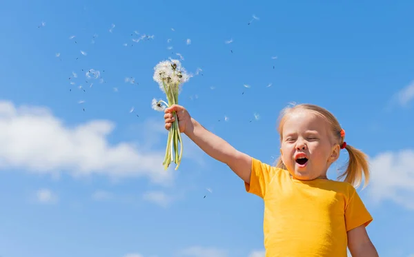 Uma menina com um monte de dentes-de-leão brancos grita Hooray. Uma criança em uma camiseta amarela com dentes-de-leão contra um céu azul . — Fotografia de Stock