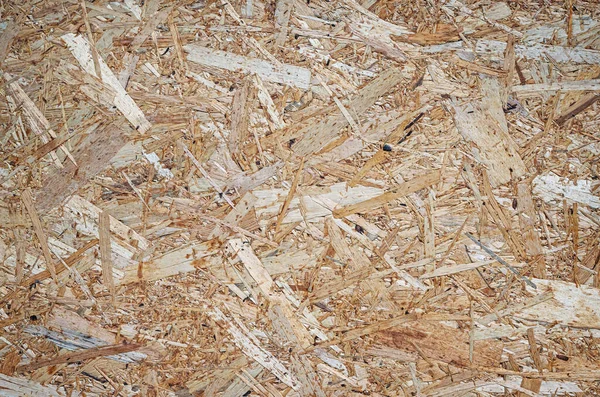 Background of wood chips. Pressed wood chip board texture.