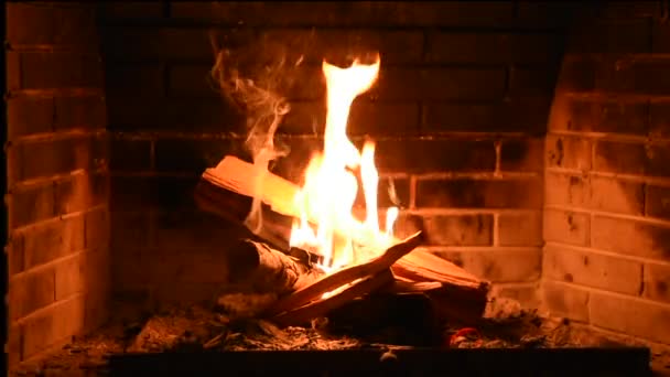 Woods Burning Fireplace — Stock Video