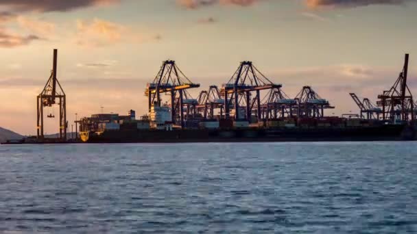 Trading Port Activity Ships Trucks Vehicles Hoisting Cranes — Stock Video