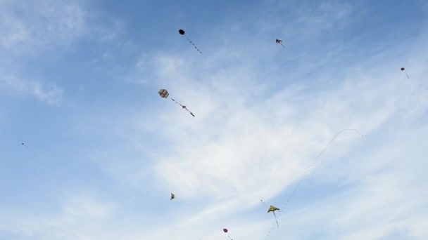 Летящие Воздушные Змеи Небе Время Фестиваля Греции — стоковое видео