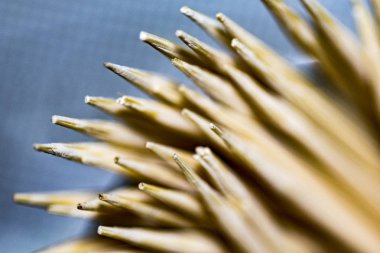 Kürdan grubunun makro çekimi