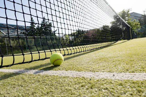 Теннисный мяч на траве — стоковое фото