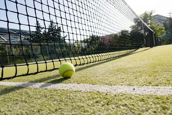 Pelota de tenis en el césped —  Fotos de Stock