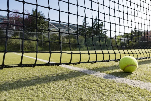 Pelota de tenis en el césped —  Fotos de Stock