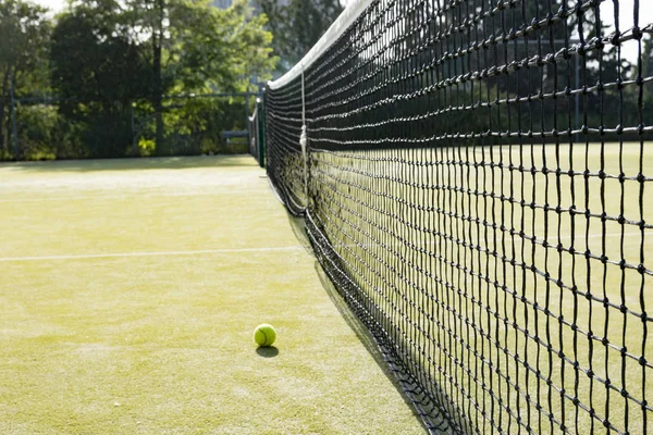 Tennisball auf dem Rasen — Stockfoto