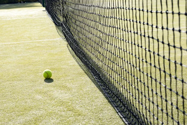 Tenis topu çimlerin üzerinde — Stok fotoğraf