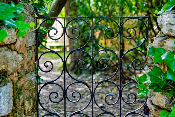 Ormanda güzel metalik kapı — Stok fotoğraf