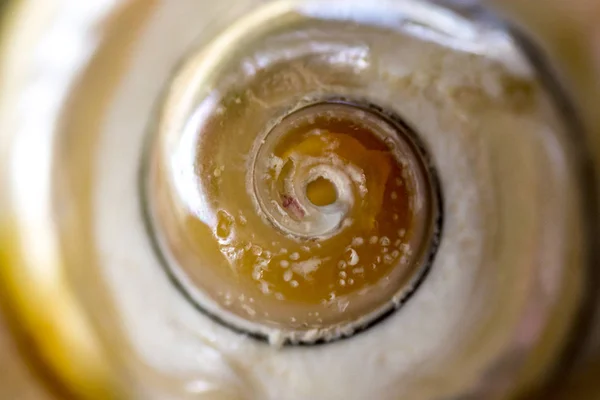 Close up photo of seashell — Stock Photo, Image