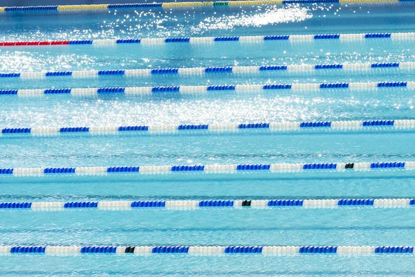 Competencia pistas de natación —  Fotos de Stock