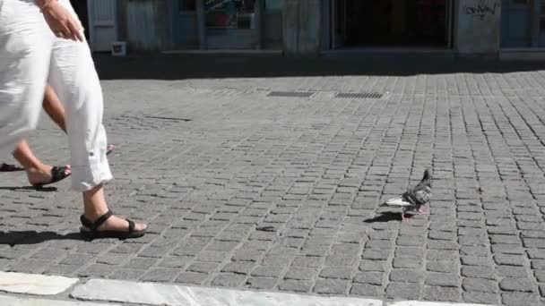 Beine Zweier Junger Frauen Die Zeitlupe Der Kamera Vorbeigehen — Stockvideo