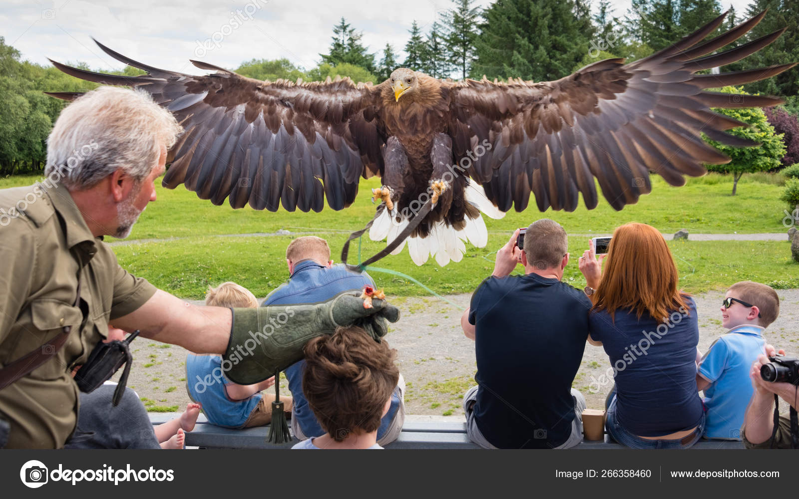 Eagles Flying Sligo Ireland July 13th 2017 A White
