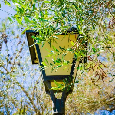 Bir gölgelik altında dekoratif, retro tarz, kamu sokak fener