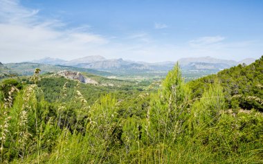 Alcudian tepe manzara görünümü