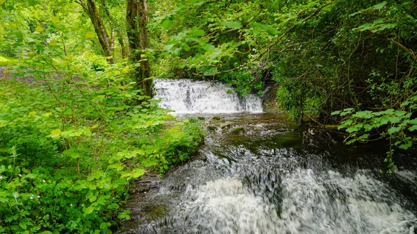 Glencar Stream, County Leitrim, Irland — Stockfoto