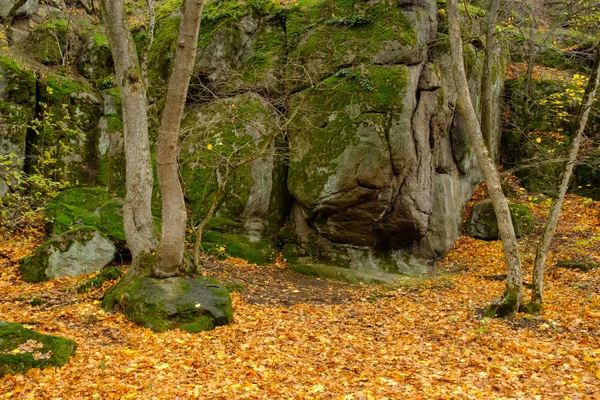 Jesienna pora roku. — Zdjęcie stockowe