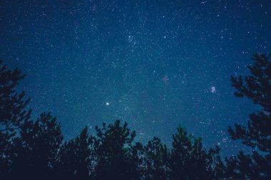 Kırsal manzara üzerinde gece gökyüzü.