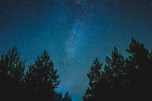 Cielo nocturno sobre paisaje rural . — Foto de Stock